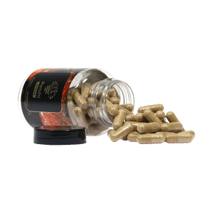 McMyco Reishi vegetarische capsules 4